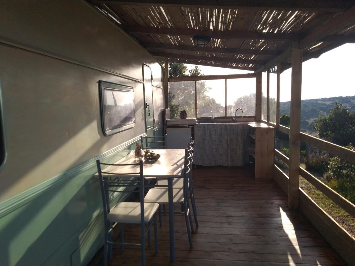 סנטה טרזה גאיורה La Cera Farm Camping B&B מראה חיצוני תמונה