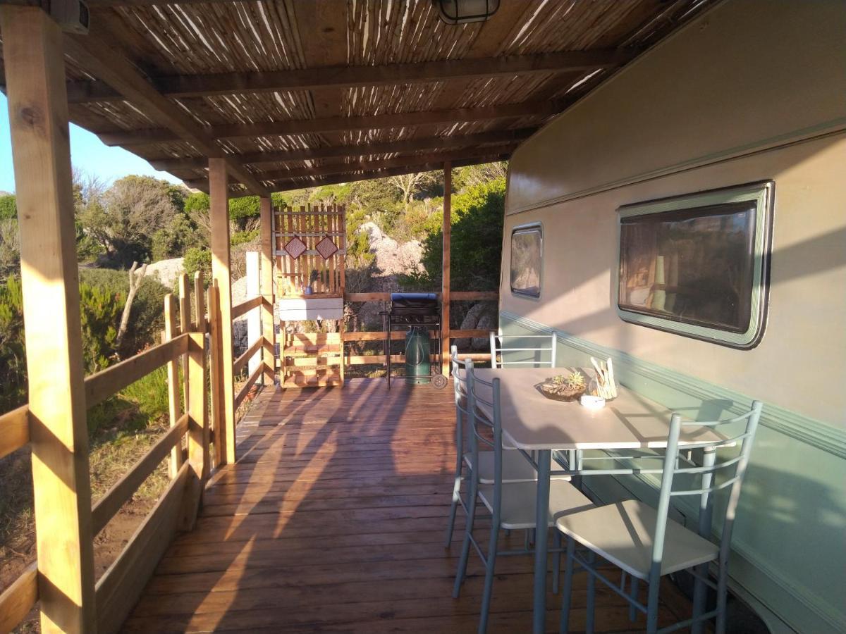 סנטה טרזה גאיורה La Cera Farm Camping B&B מראה חיצוני תמונה