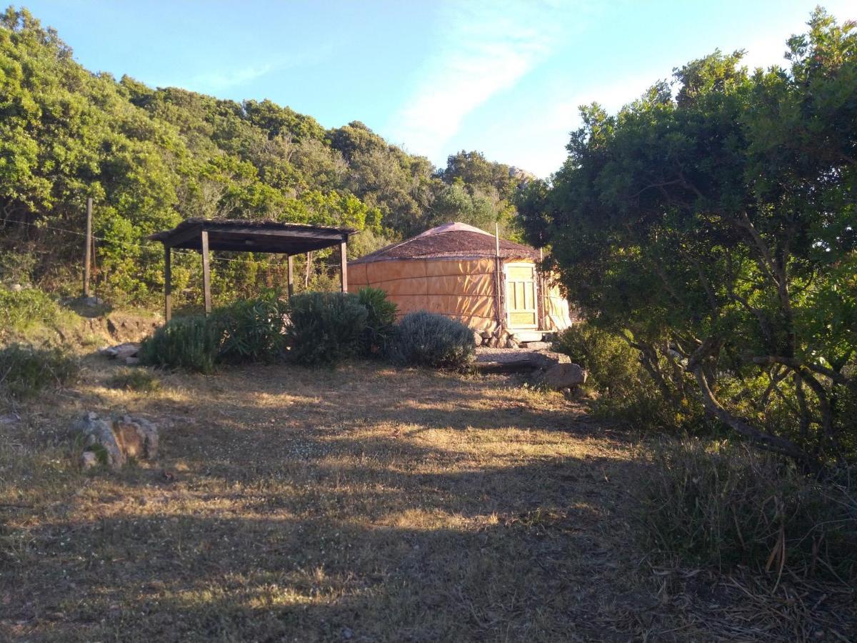סנטה טרזה גאיורה La Cera Farm Camping B&B מראה חיצוני תמונה