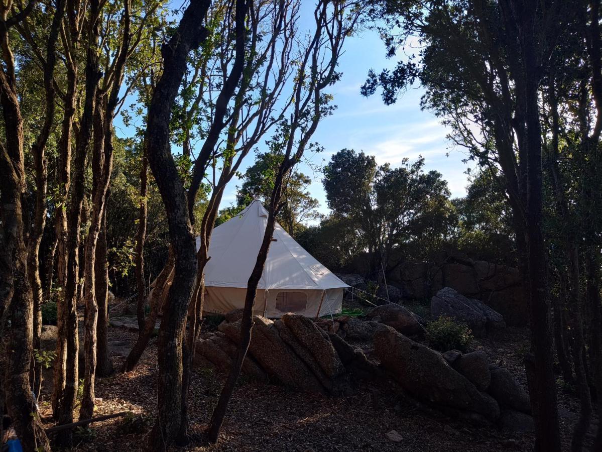 סנטה טרזה גאיורה La Cera Farm Camping B&B מראה חיצוני תמונה