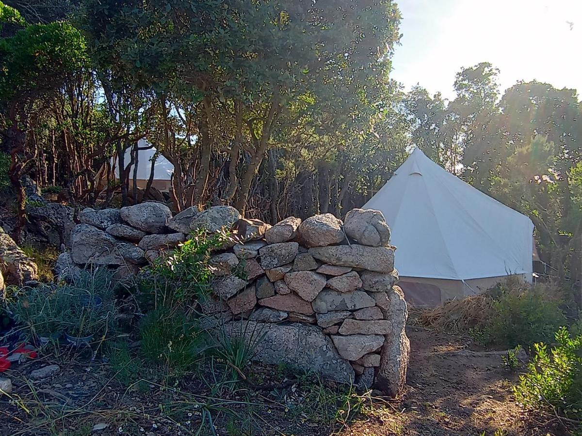 סנטה טרזה גאיורה La Cera Farm Camping B&B מראה חיצוני תמונה