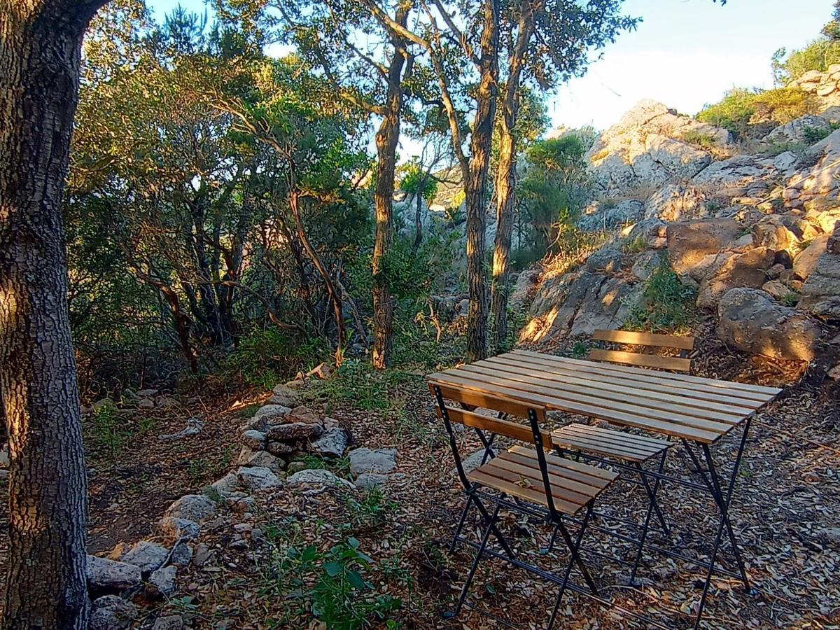 סנטה טרזה גאיורה La Cera Farm Camping B&B מראה חיצוני תמונה