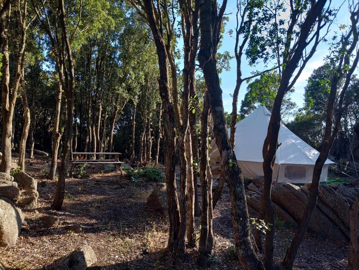 סנטה טרזה גאיורה La Cera Farm Camping B&B מראה חיצוני תמונה