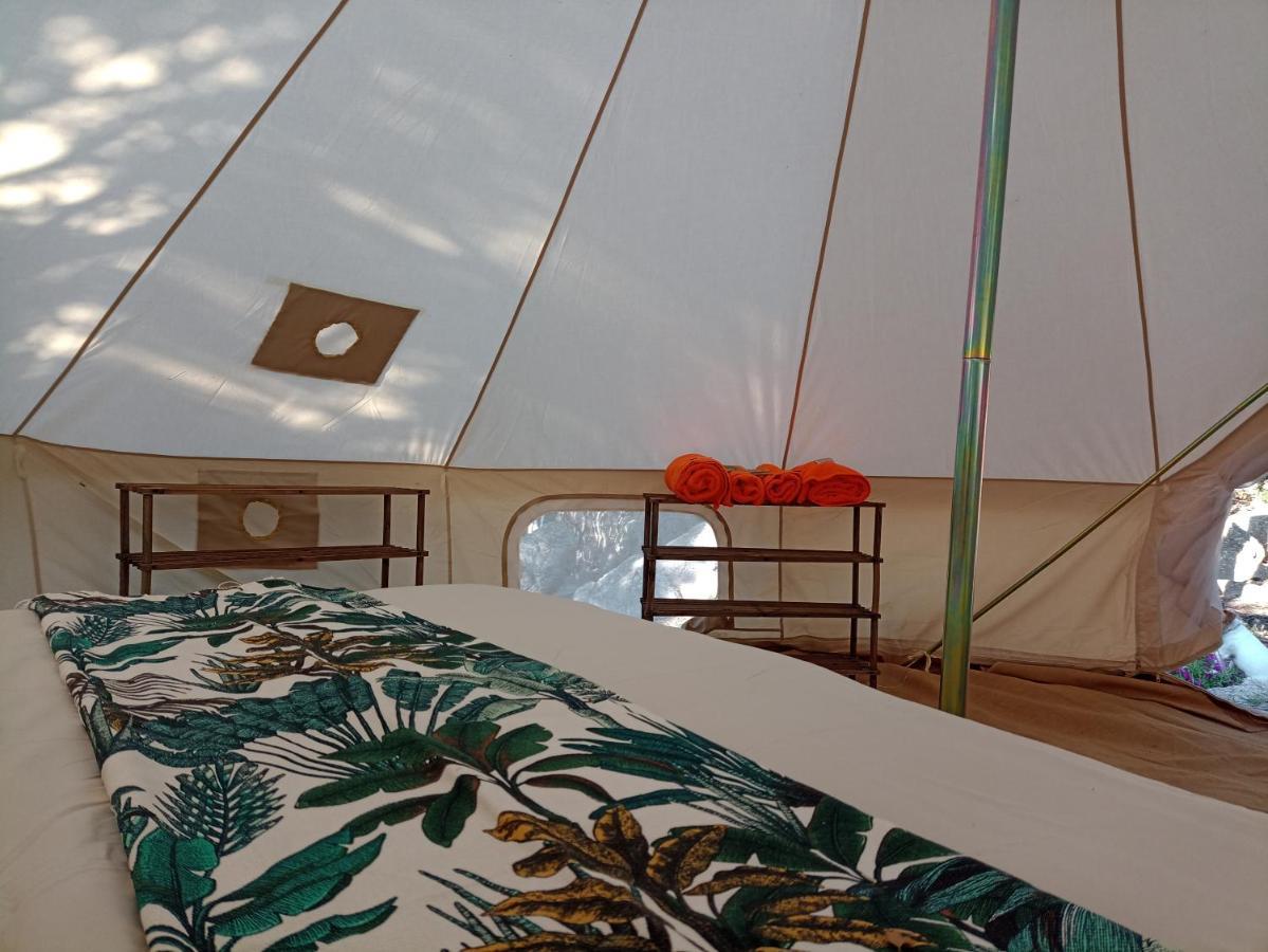 סנטה טרזה גאיורה La Cera Farm Camping B&B מראה חיצוני תמונה