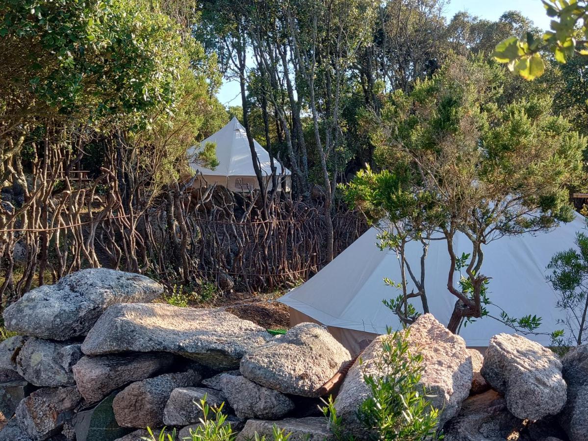 סנטה טרזה גאיורה La Cera Farm Camping B&B מראה חיצוני תמונה