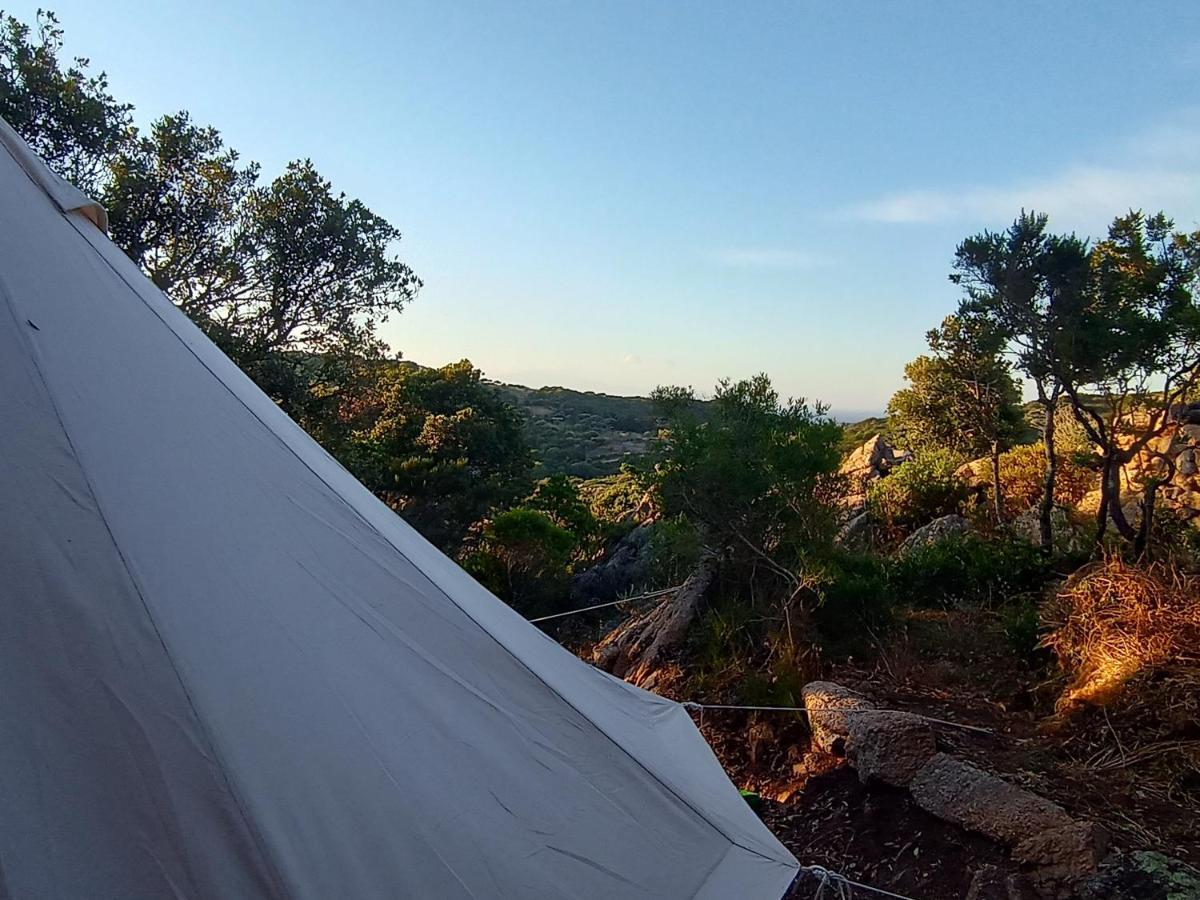 סנטה טרזה גאיורה La Cera Farm Camping B&B מראה חיצוני תמונה