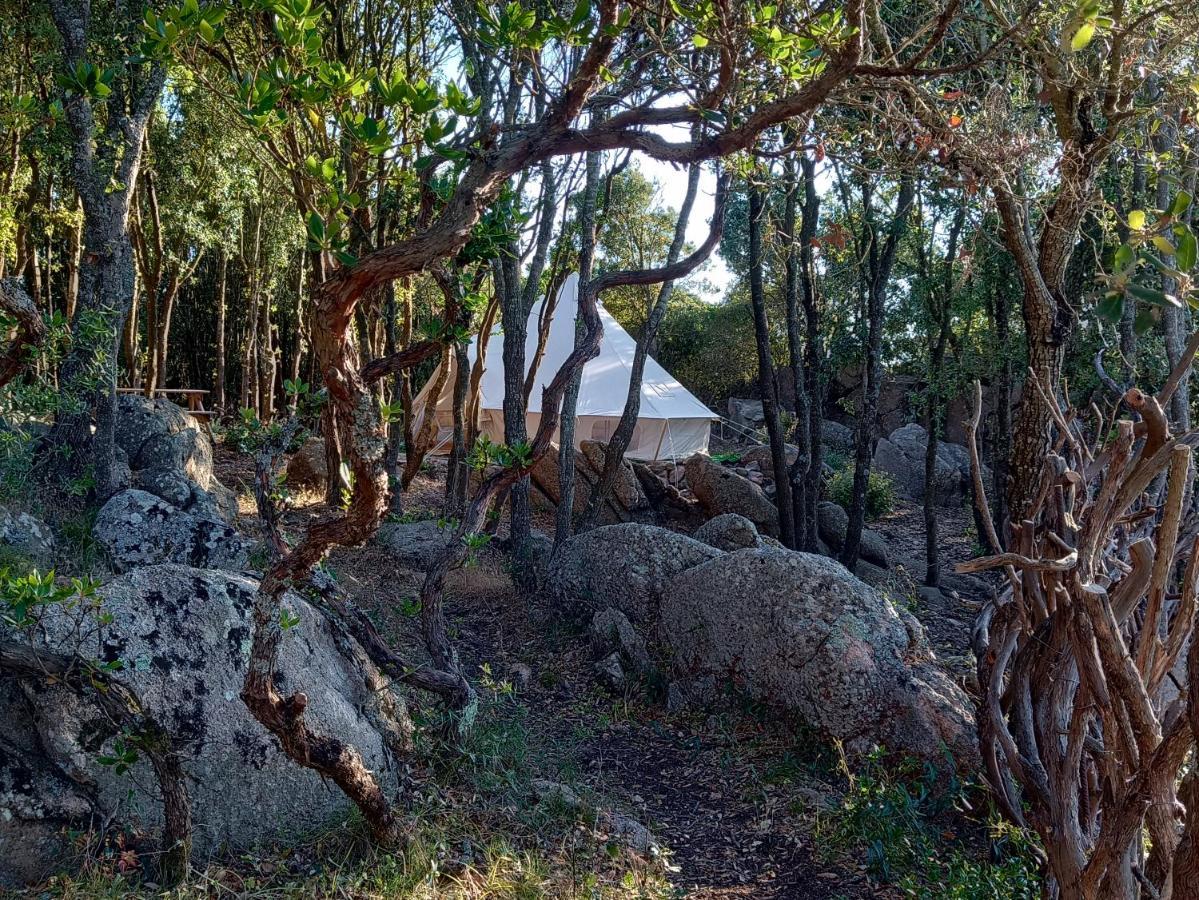 סנטה טרזה גאיורה La Cera Farm Camping B&B מראה חיצוני תמונה