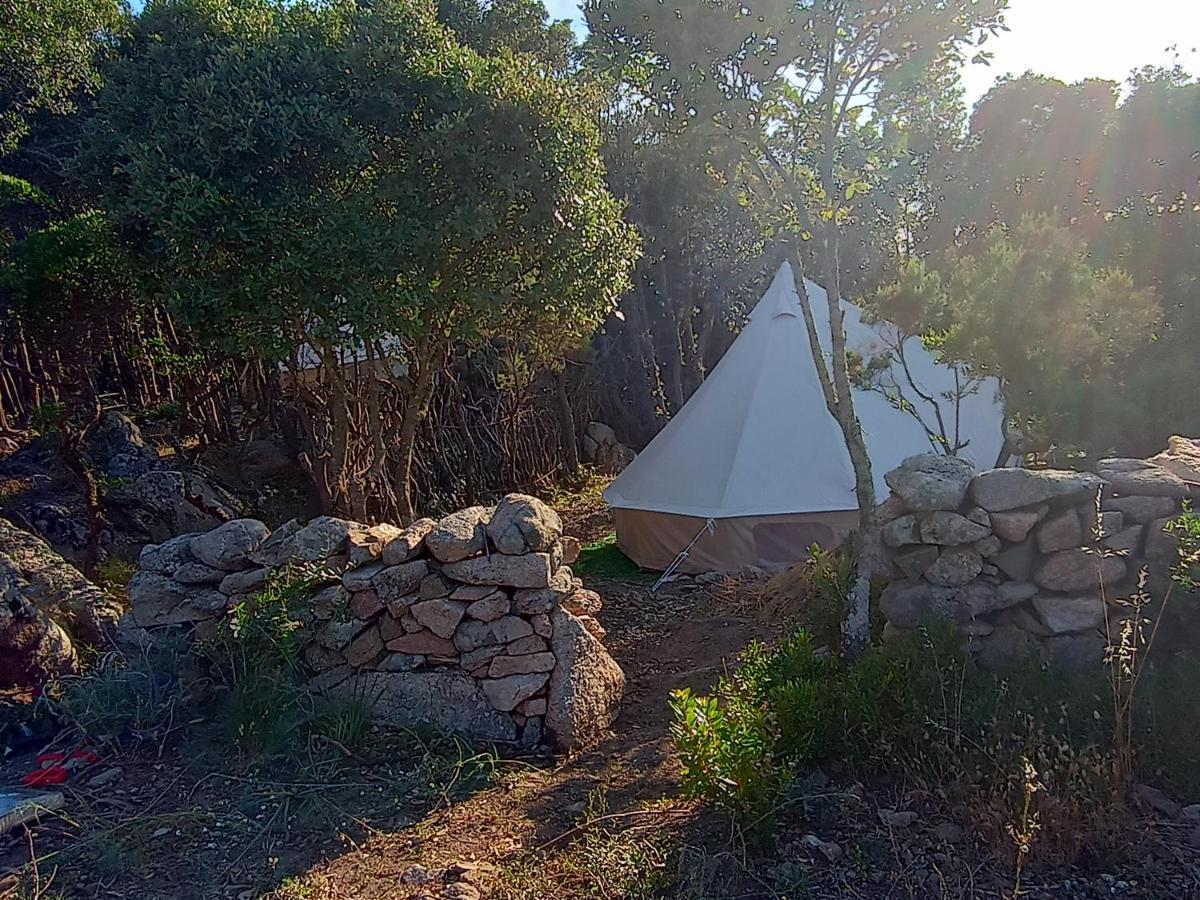 סנטה טרזה גאיורה La Cera Farm Camping B&B מראה חיצוני תמונה