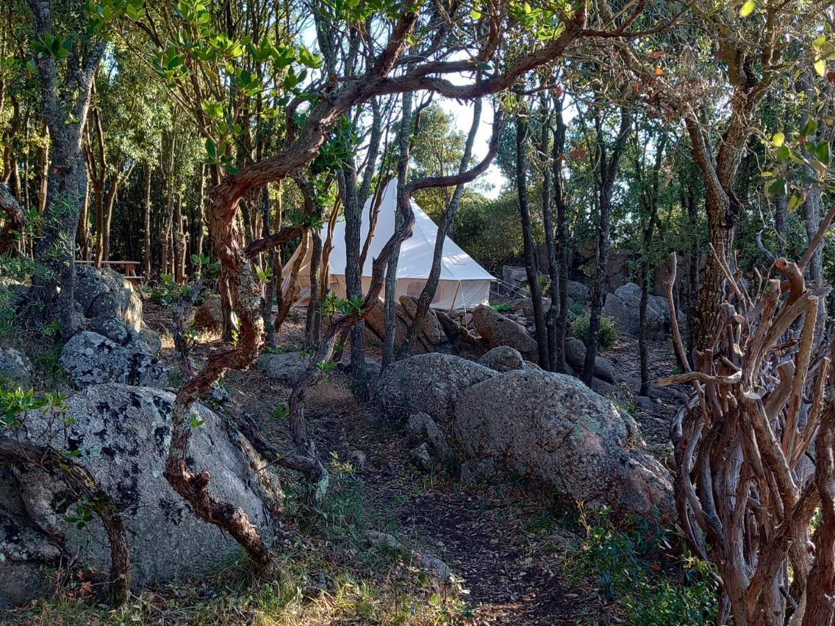 סנטה טרזה גאיורה La Cera Farm Camping B&B מראה חיצוני תמונה