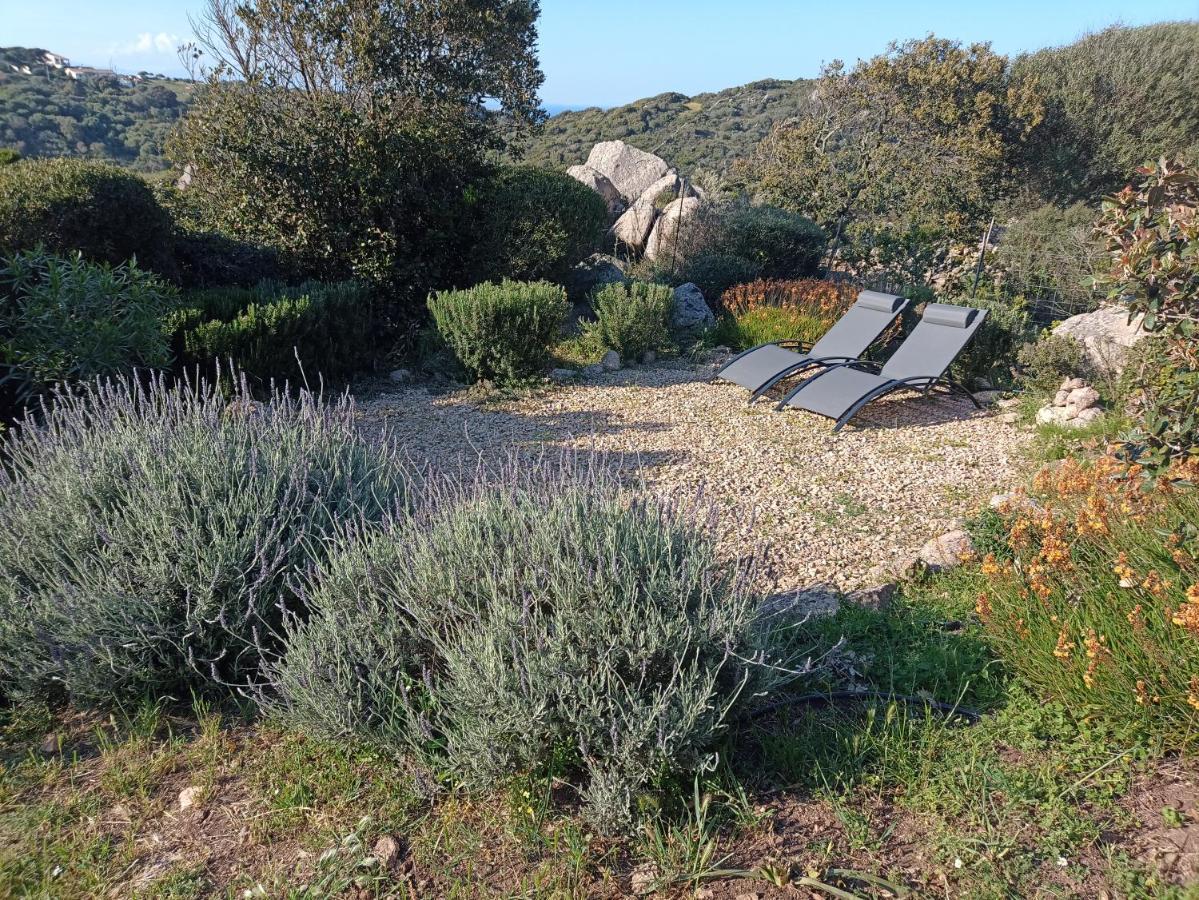 סנטה טרזה גאיורה La Cera Farm Camping B&B מראה חיצוני תמונה