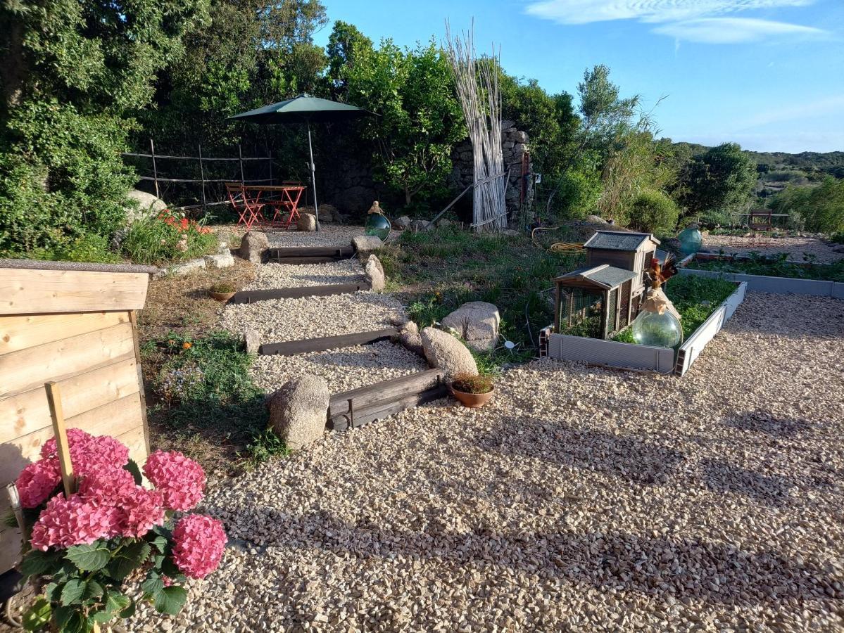 סנטה טרזה גאיורה La Cera Farm Camping B&B מראה חיצוני תמונה