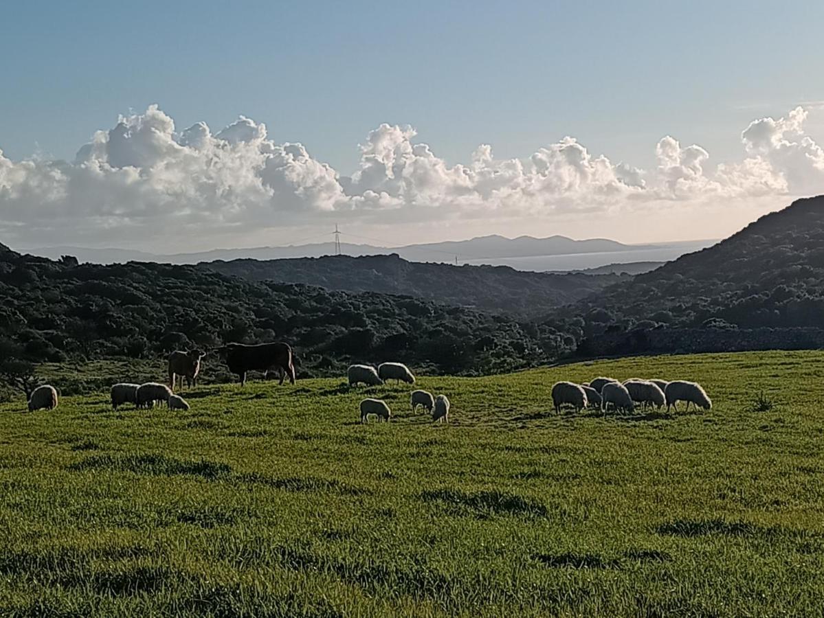 סנטה טרזה גאיורה La Cera Farm Camping B&B מראה חיצוני תמונה