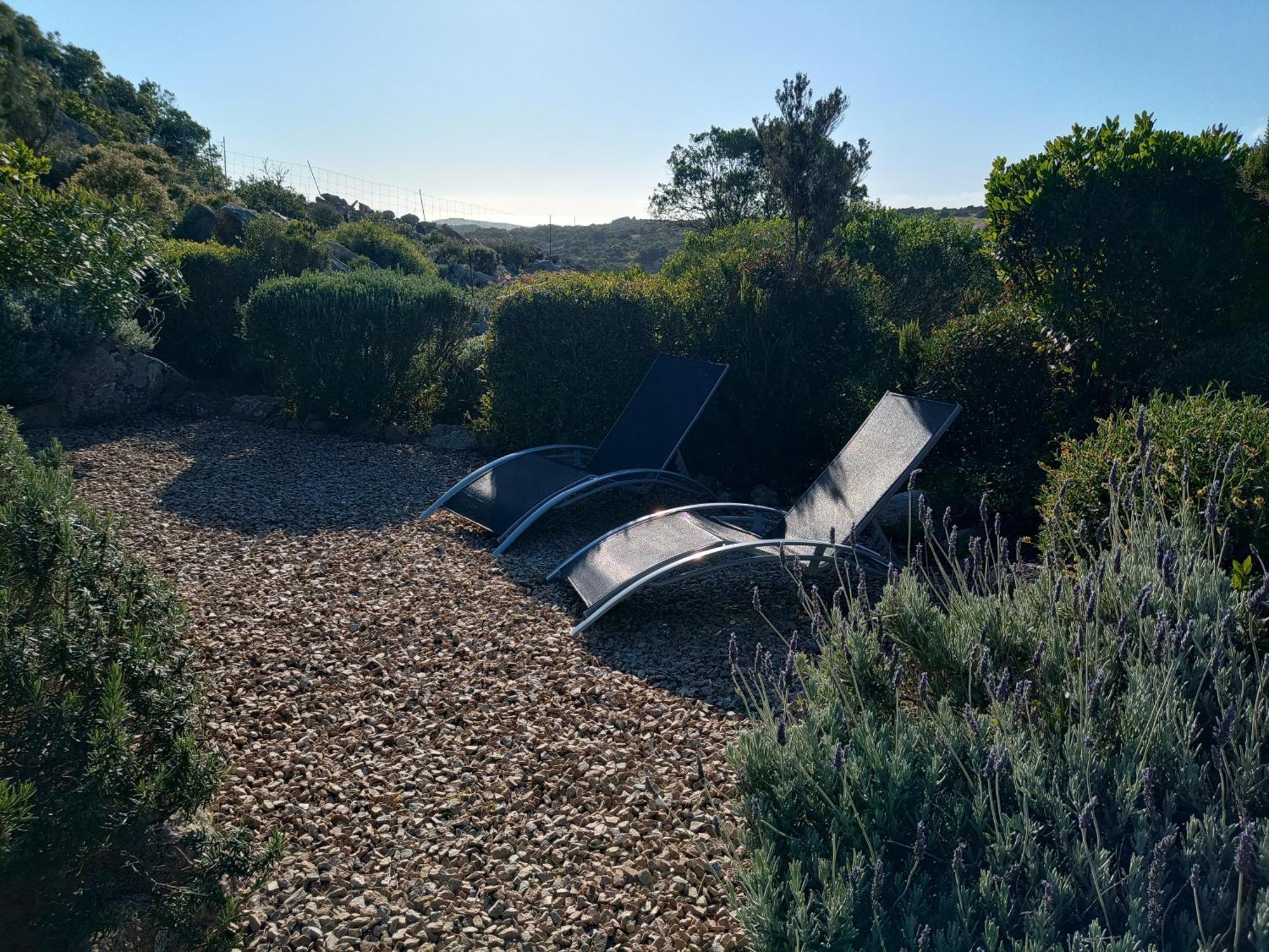 סנטה טרזה גאיורה La Cera Farm Camping B&B מראה חיצוני תמונה