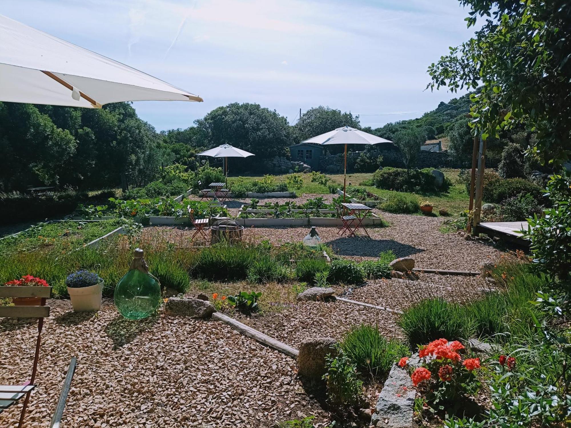 סנטה טרזה גאיורה La Cera Farm Camping B&B מראה חיצוני תמונה