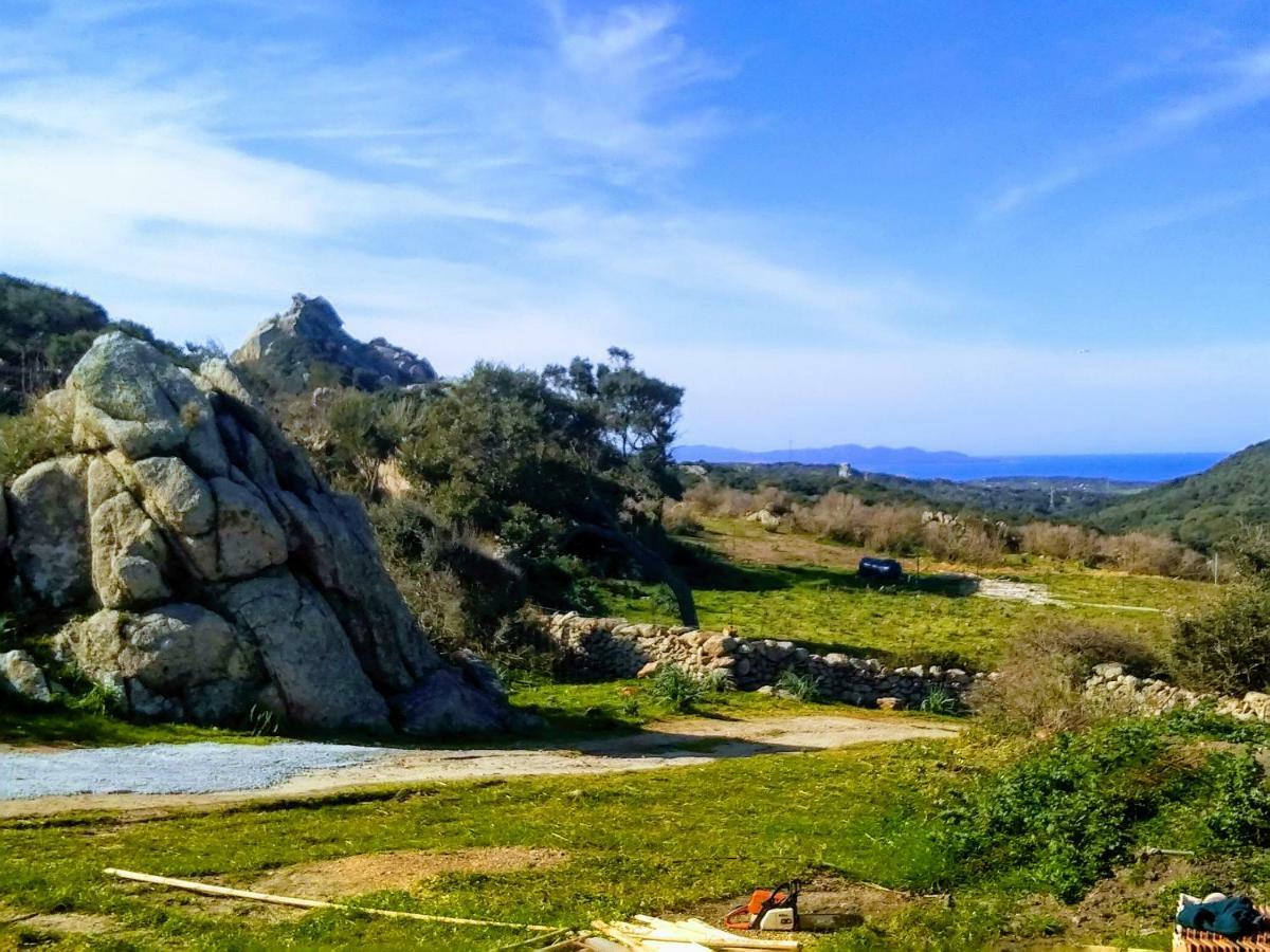 סנטה טרזה גאיורה La Cera Farm Camping B&B מראה חיצוני תמונה